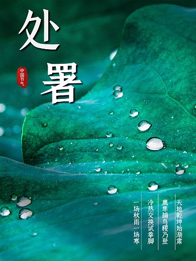 中国传统二十四节气处暑海报