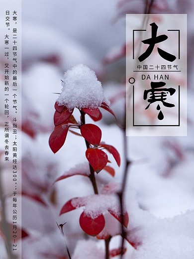 大寒传统二十四节气大雪