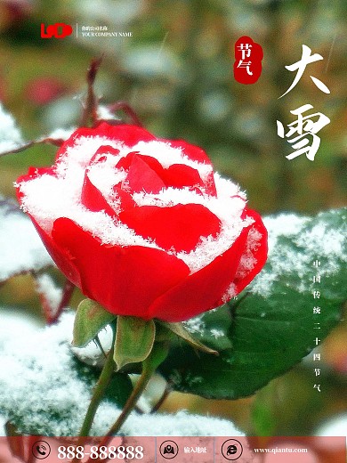 大雪海报红色花朵简约企业商务海报