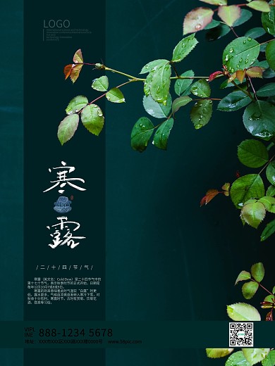 二十四节气之寒露时节宣传海报模板