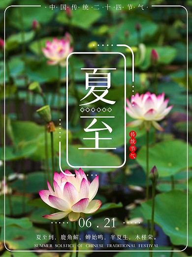 中国传统二十四节气夏至绿色海报
