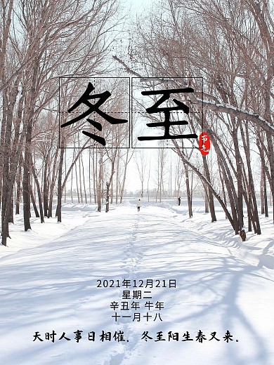 2020年冬至最新24二十四节气海报