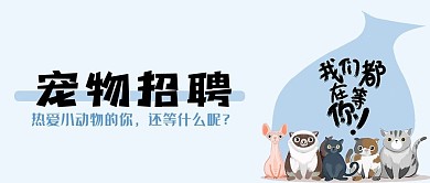 宠物招聘兽医洗护宠物店猫猫狗狗微信公众号