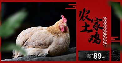 天猫淘宝农家散养土鸡banner