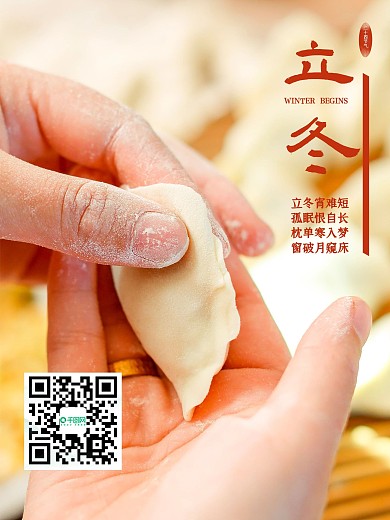 剁手补给站冬至包饺子立冬节气简约海报