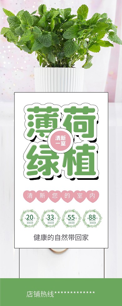 室内薄荷盆栽绿植促销展架易拉宝