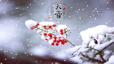 二十四节气大雪传统节日