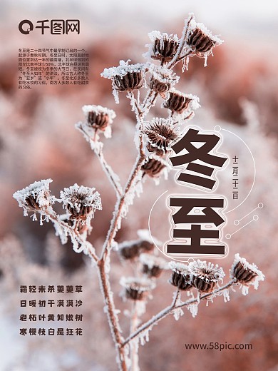 冬至节气植物风景海报