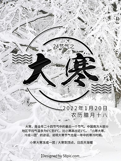 白色大寒节气海报