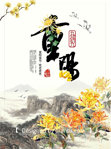 清新淡雅重阳节菊花节日海报