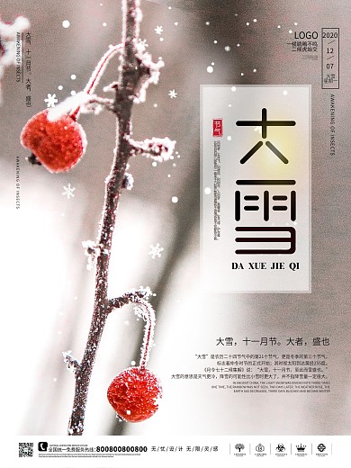 二十四节气大雪海报