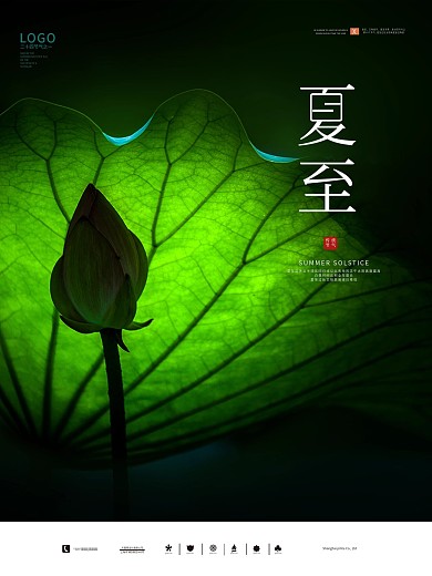 夏至海报夏至素材荷花图片节气展架简约