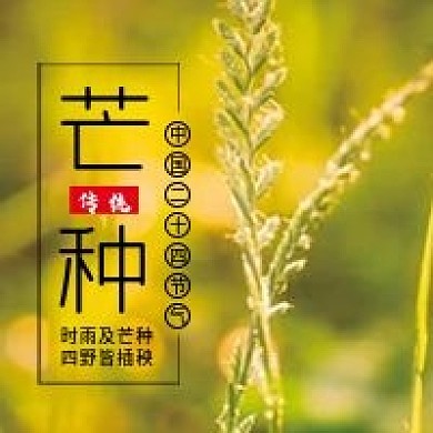 芒种二十四节气微信公众号配图次图
