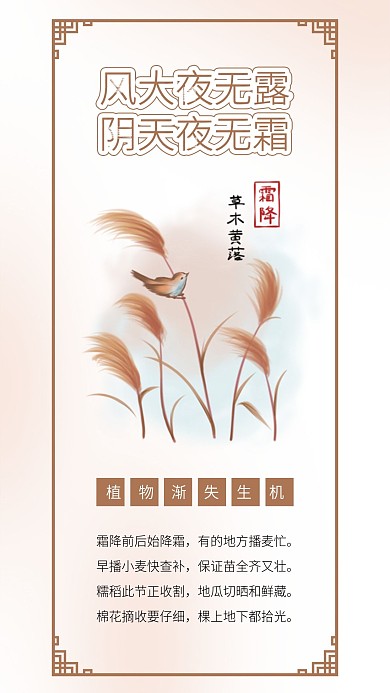 霜降节气芦苇水墨鸟植物植被插画海报