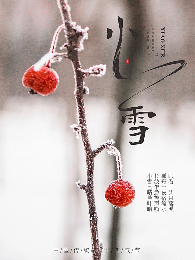 清新二十四气节小雪海报