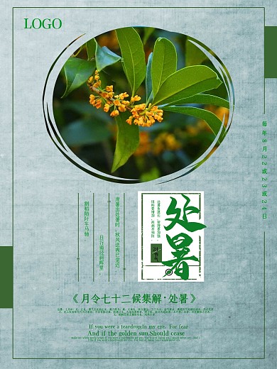 简约大气处暑节气海报