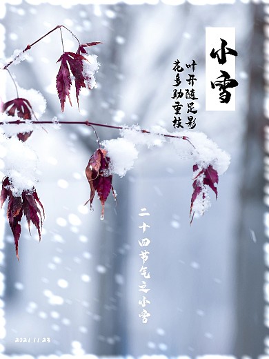 二十四节气小雪摄影合成节气海报