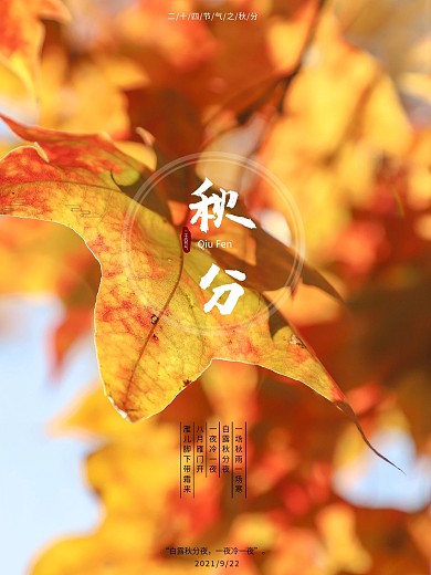 二十四节气秋分海报金黄的叶子