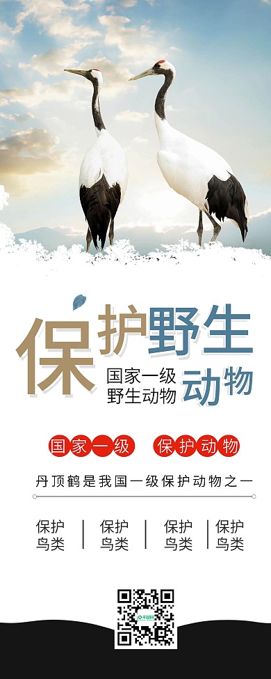 保护野生动物丹顶鹤公益展架易拉宝