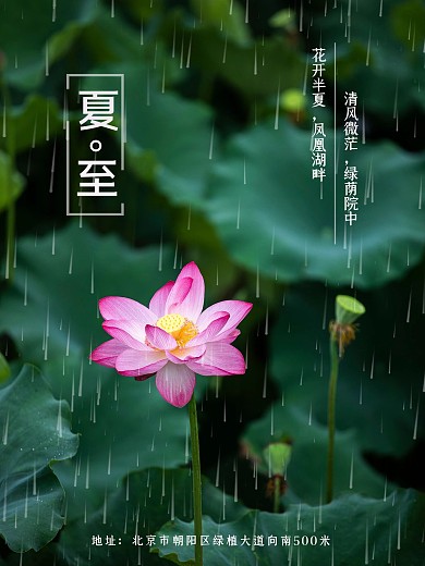 简约夏至摄影图海报创意合成