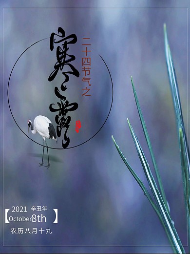 简约清新寒露花骨朵花苞图片海报