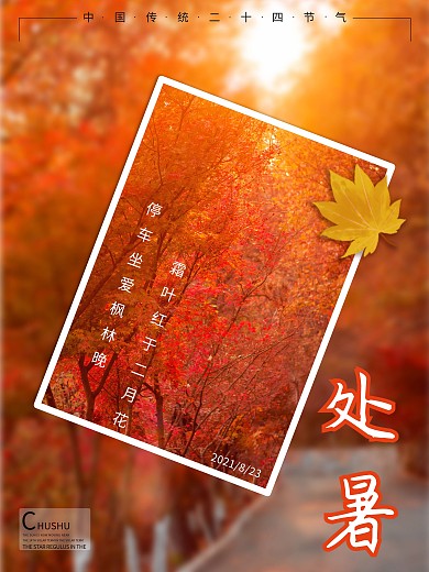 原创处暑唯美风景海报