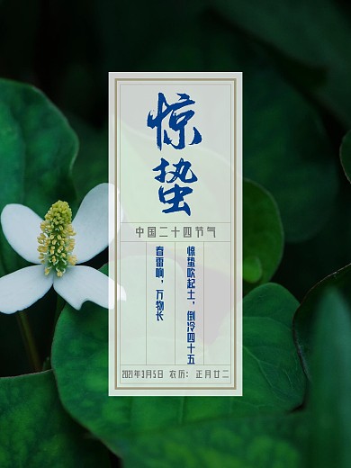 绿色清新叶子泡泡昆虫节气惊蛰春天春季海报