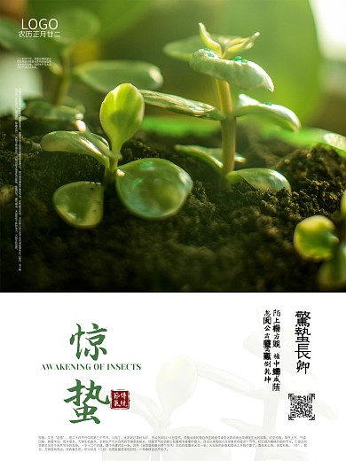 惊蛰海报节气海报摄影图海报