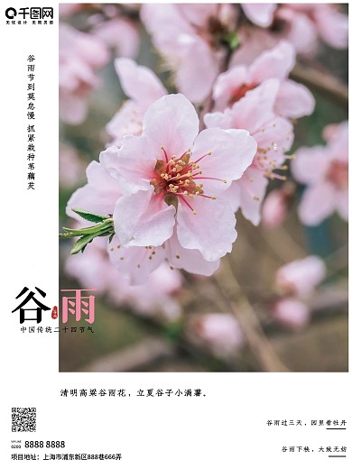 谷雨中国传统二十四节气节日海报