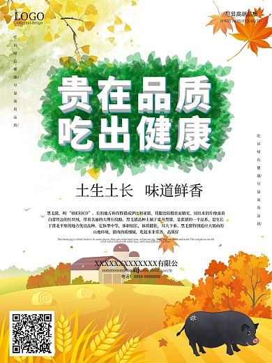 品质健康绿色健康猪肉品质土猪