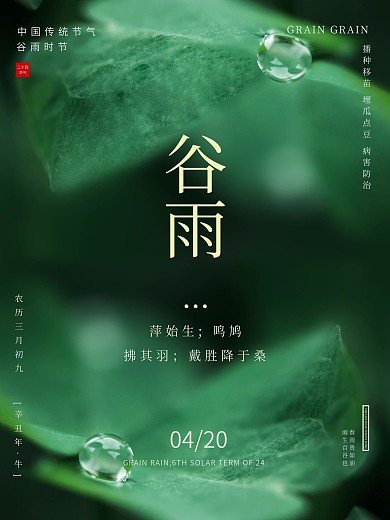 绿色树叶谷雨简约海报