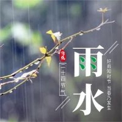 雨水二十四节气微信公众号配图次图