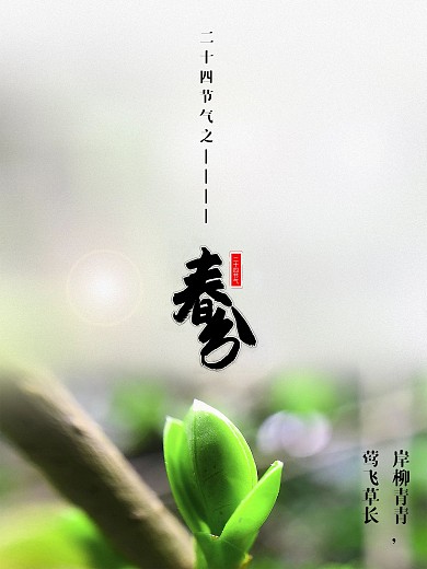 春分 春 新芽 节气