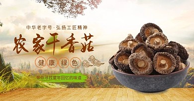 淘宝食品坚果零食土特产香菇banner