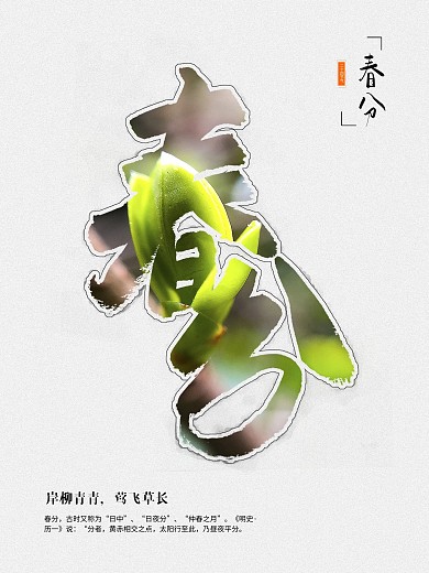 春分 春 新芽 节气