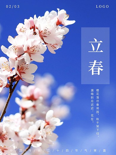 立春樱花唯美摄影图创意合成海报