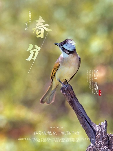 春分二十四节气3月20日二月初八节日海报