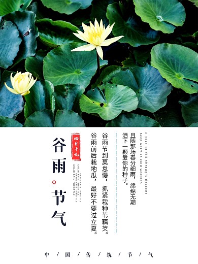 节气海报谷雨二十四节气传统文化
