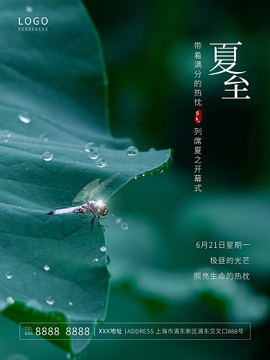 夏至立夏小暑大暑处暑荷叶蜻蜓雨水露水海报