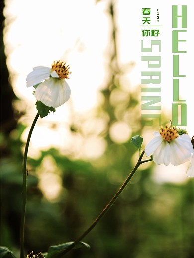 春天你好海报企业公益简约自然春天节日