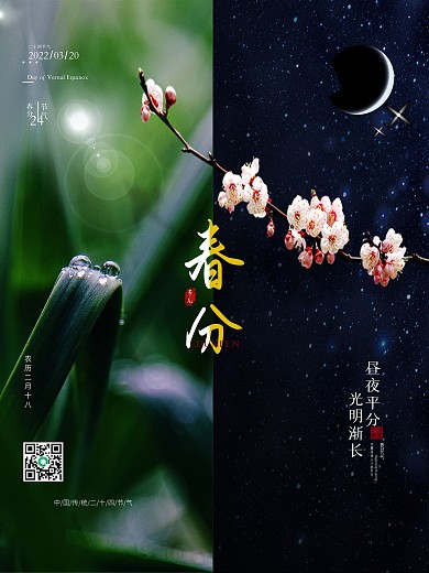 简约二十四节气春分昼夜平分海报