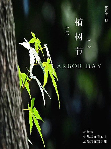 植树节实拍风植树节海报