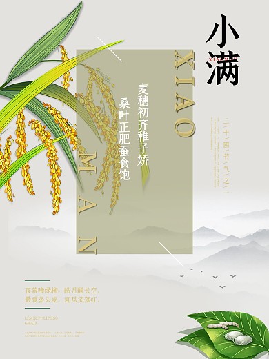 小满节气海报节日海报