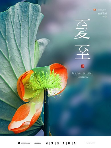 夏至海报夏至素材图片二十四节气荷花夏天