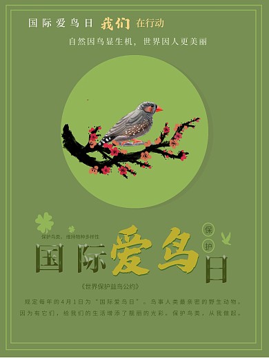 世界爱鸟日 国际爱鸟日