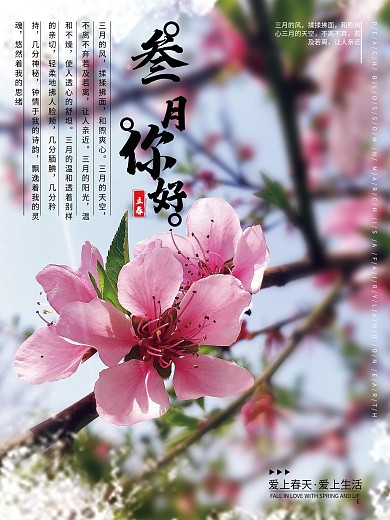 清新简约三月你好摄影图海报