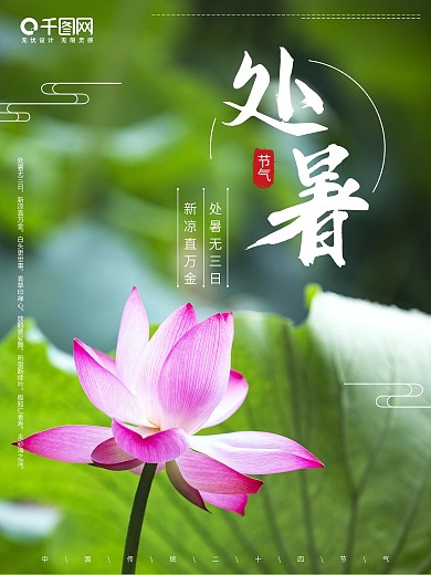 清新荷花夏季处暑节气海报
