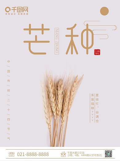 中国传统二十四节气芒种海报