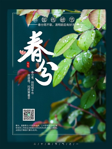 春分 中国传统节日 二十四节气 节日海报