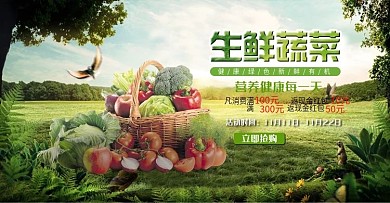 有机新鲜果蔬banner